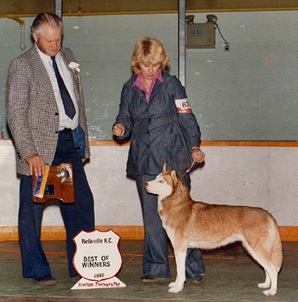 CAN CH SNOWDANCER'S KARI OF KORTAR, F, Born 29 Jun 1976, WD473204, Copper/White