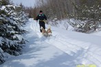 Skijoring. Hold on to your touque!
