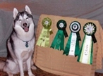 Kortar's Khyber Knuff with his ribbons
