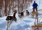 Frostbite is in single lead,  Echo is behind him, the Kaptain and Glacier are at wheel.