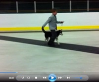 Brayden in the Baby Puppy Class withToddy - Arnprior 2012