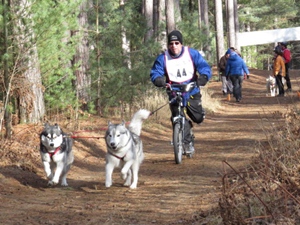 Pheonix and Friends - Dryland Race, Larose Forest