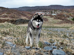 Jake - November 2012