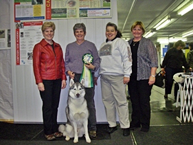 Kortar's Khyber Knuff Rally Novice Title Oct 2009. He now has his CKC CD, CARO Rally novice and Advanced and UKC Rally Obedience 1.