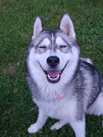 Bella Laughing! (Click to Enlarge)